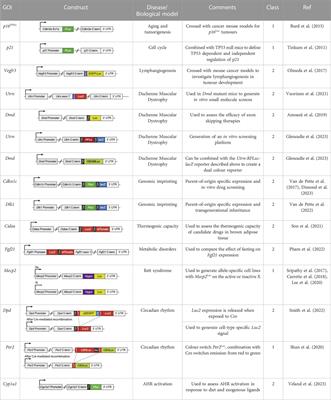 Harnessing bioluminescence for drug discovery and epigenetic research